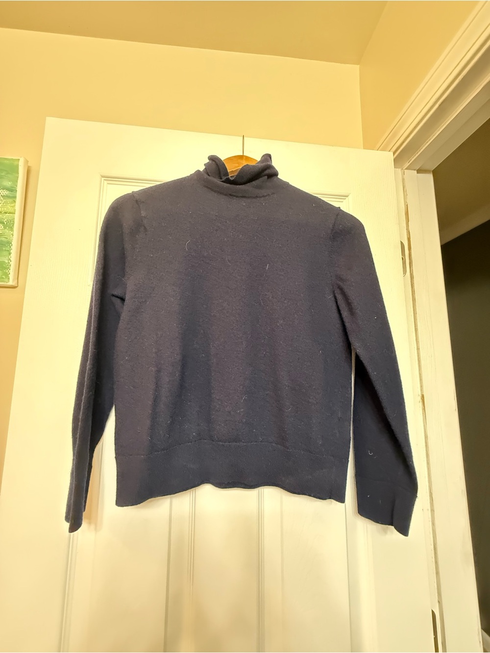 Banana Republic Men's Navy Blue Turtleneck Sweater
